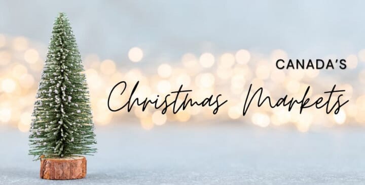 Countdown to the Holidays: Stamps for Makers & Gift Packaging 