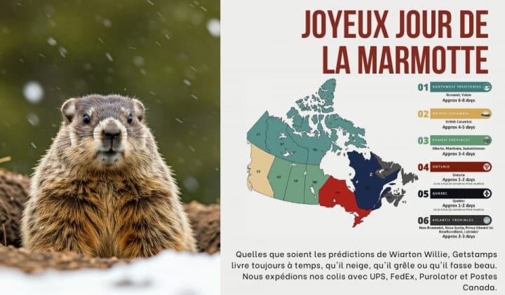 Le jour de la marmotte au Canada : d'où vient-il et quelle est sa signification pour les livraisons hivernales?